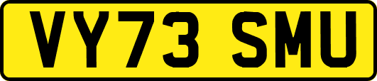 VY73SMU