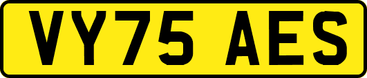 VY75AES