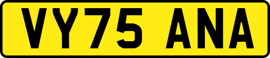 VY75ANA