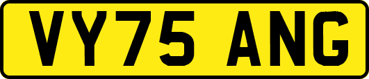 VY75ANG