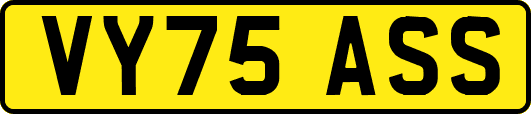 VY75ASS