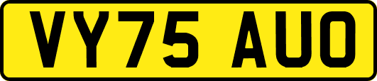 VY75AUO