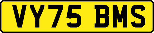 VY75BMS