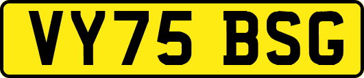 VY75BSG
