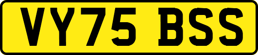 VY75BSS