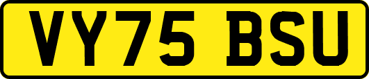 VY75BSU