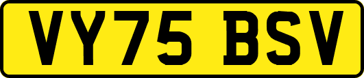 VY75BSV