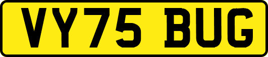 VY75BUG