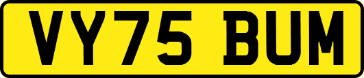 VY75BUM