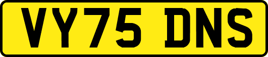 VY75DNS