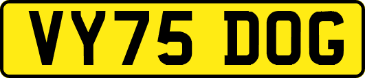 VY75DOG