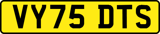 VY75DTS