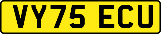 VY75ECU