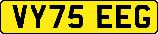 VY75EEG