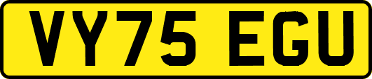 VY75EGU