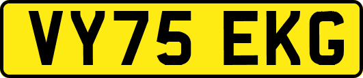 VY75EKG