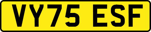 VY75ESF