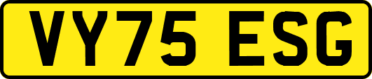 VY75ESG