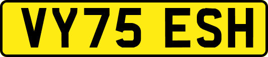 VY75ESH