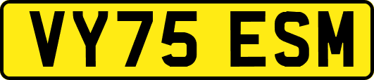 VY75ESM