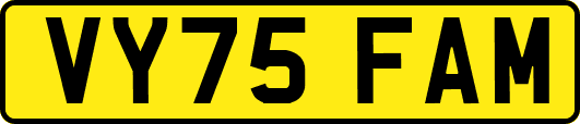 VY75FAM