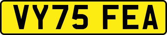 VY75FEA
