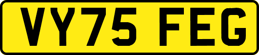 VY75FEG