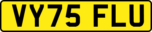 VY75FLU