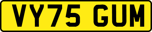 VY75GUM