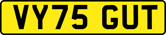 VY75GUT