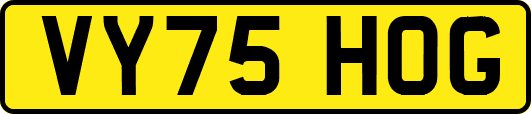 VY75HOG