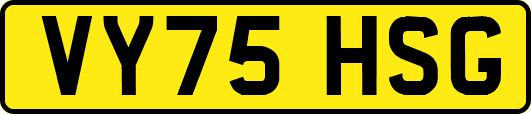VY75HSG