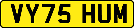 VY75HUM