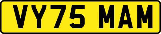VY75MAM