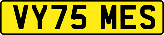 VY75MES