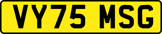 VY75MSG