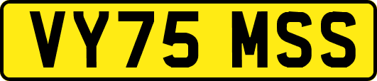 VY75MSS