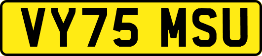 VY75MSU