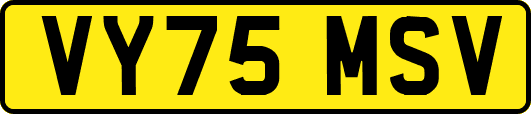 VY75MSV