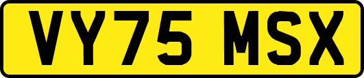 VY75MSX