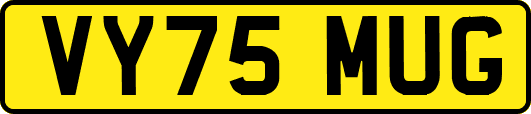 VY75MUG