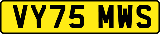 VY75MWS