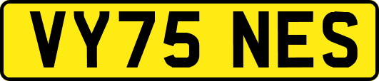 VY75NES