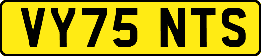 VY75NTS