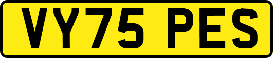 VY75PES