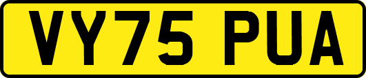 VY75PUA