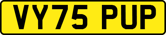VY75PUP