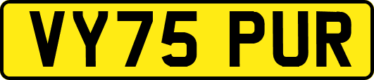 VY75PUR