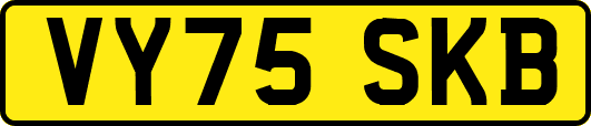 VY75SKB
