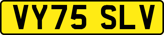VY75SLV